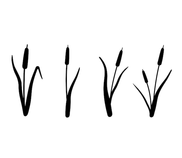 Reed silhouette set Vector illustration isolated on white Plants on the swamp and river