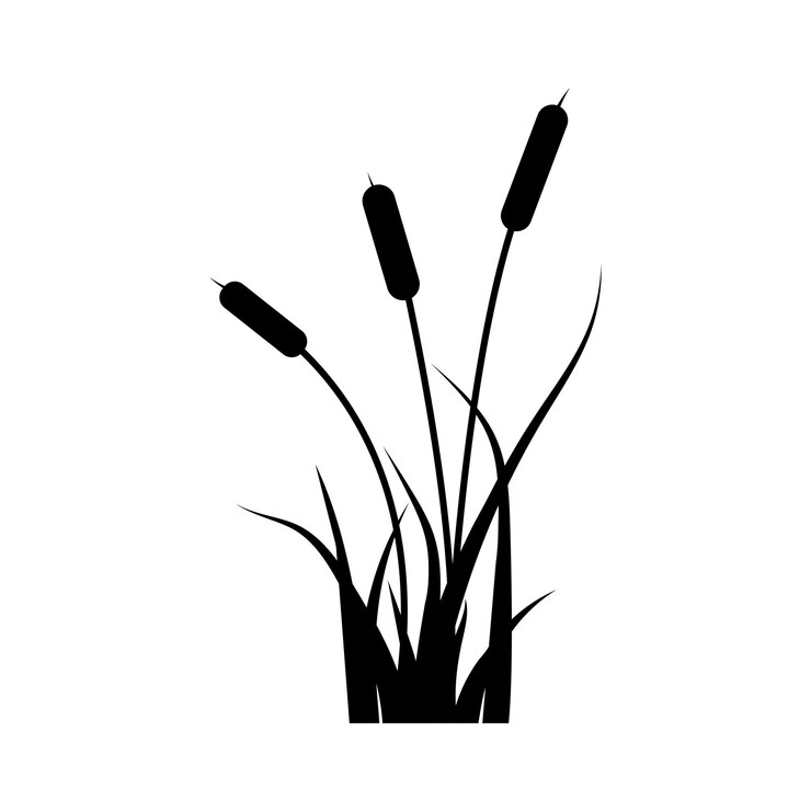 Reeds and grass black silhouette