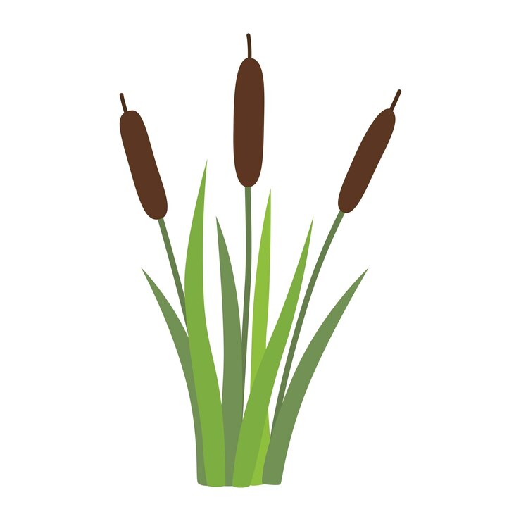 Vector reeds in grass