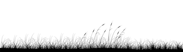 牧草地の葦のパノラマ背景デザイン