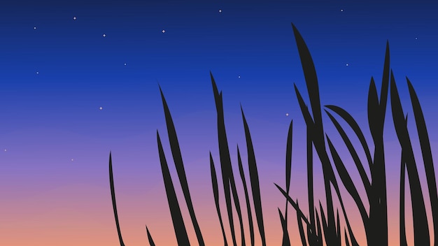 reeds at sunset grass and sky Vector evening sky Starry sky moon in the night sky sunset