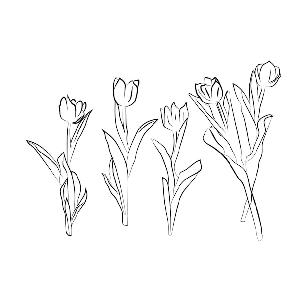 Reeks bloemen. Vectorbloemtekening en schets met zwart-witte lijn-art.