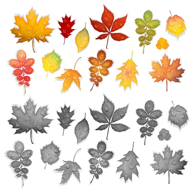 Vector reeks kleurrijke bladeren