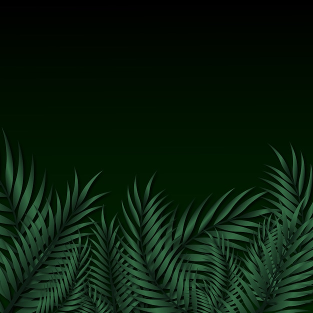 Refreshing palm tropical tree green leave