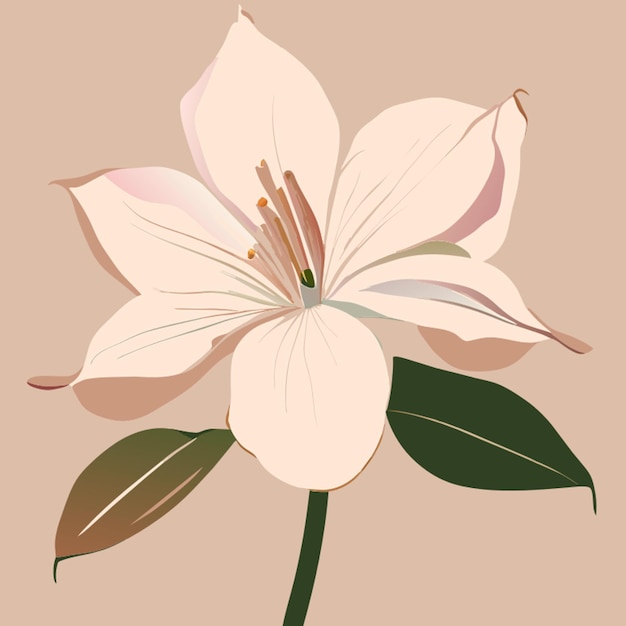 Vector regular isolated single lily flower on white background vector illustration