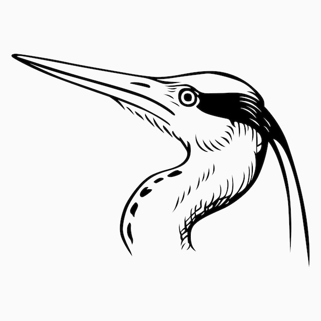 Vector reiger vogelkop