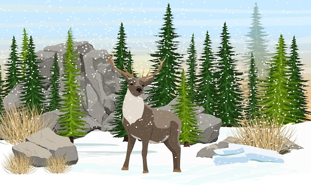 Vector reindeer walking on the meadow spruce forest stones and mountains dry grass