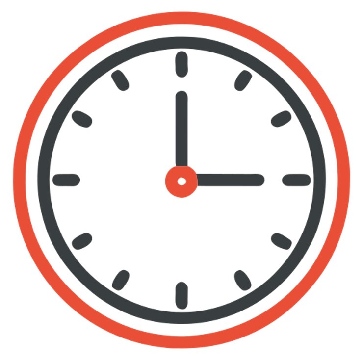 Vector reloj icon