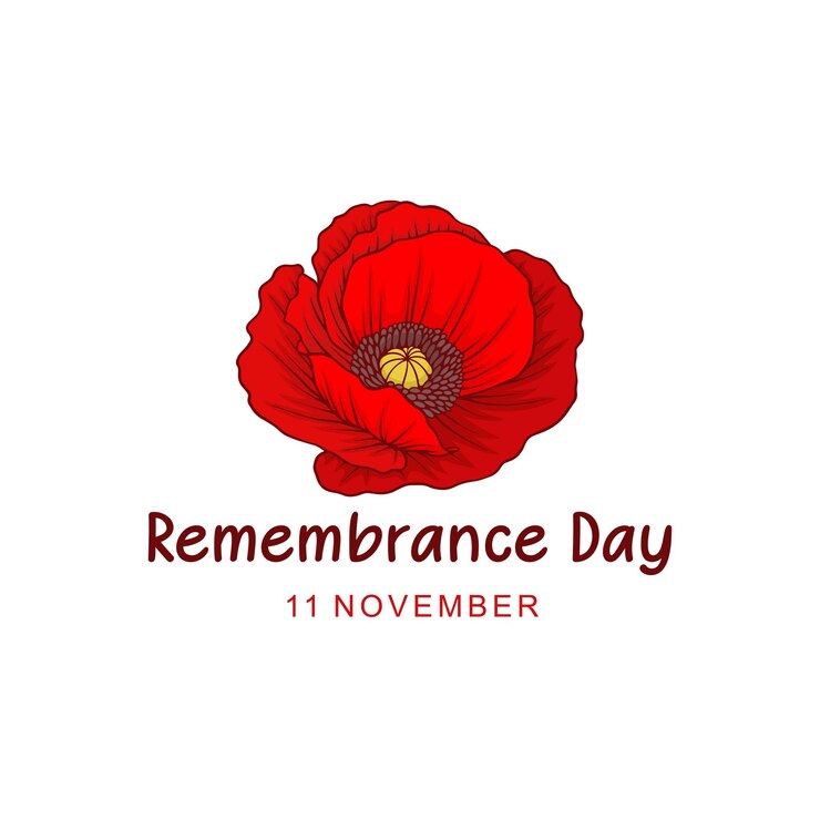 Вектор remembrance day background with poppy flowers in hand drawn