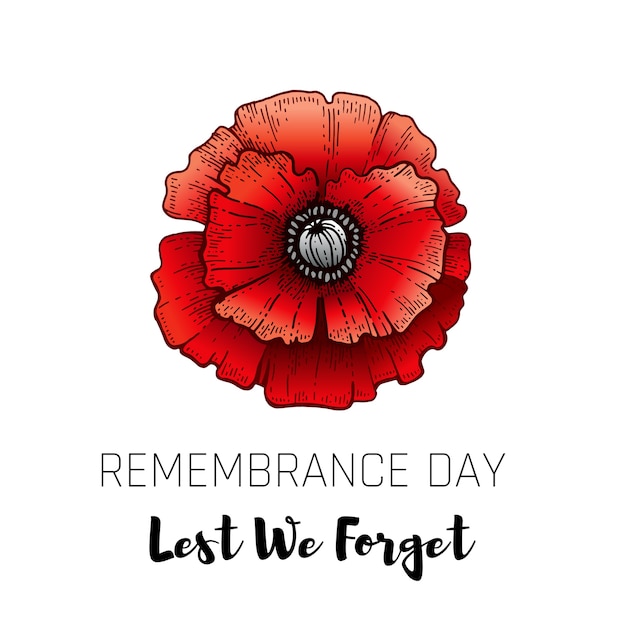 Remembrance day card with sketch poppy. Realistic red poppy flower symbol, November 11 poster with Lest we Forget text. Anniversary memory.