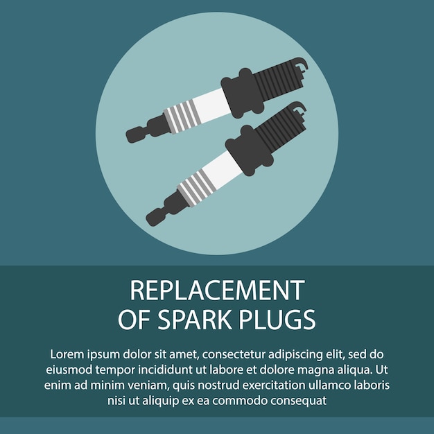 Replasement of spark plugs. car service. .