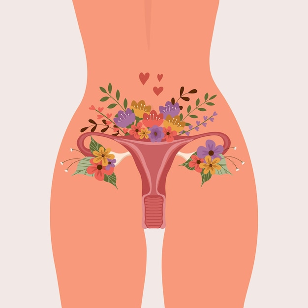 Vector reproductive illustration of a woman's body pelvis uterus and flowers vector illustration