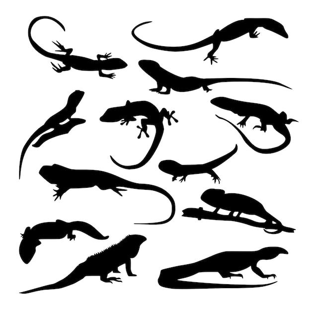 Reptile Silhouette