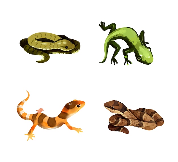 Vector reptile