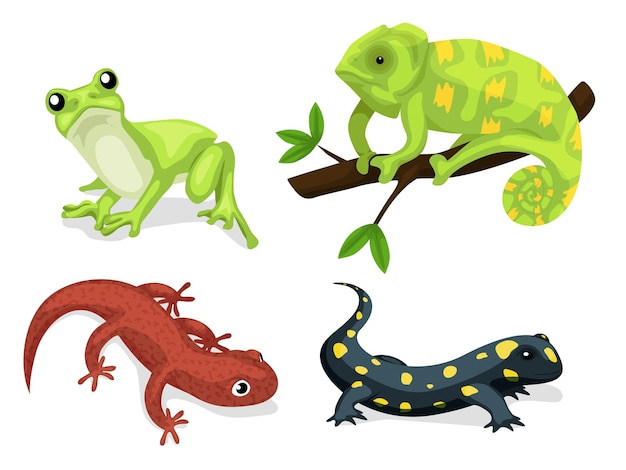 Reptiles and amphibians cartoon frog chameleon crocodile lizard and turtle wildlife animals