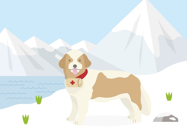 Vector rescue dog of the alps