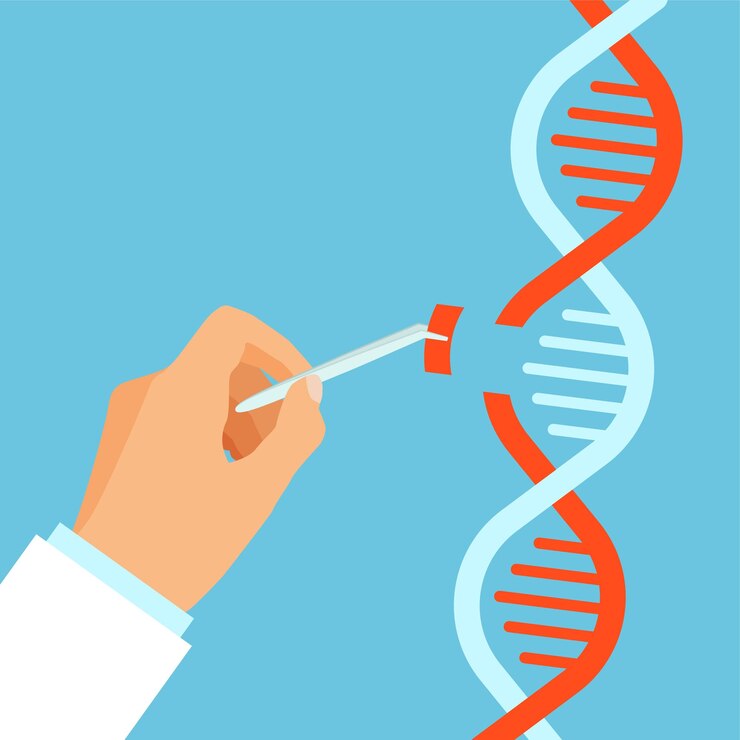 Vector research or test dna scientific doctor examines human dna genetic science and exploring