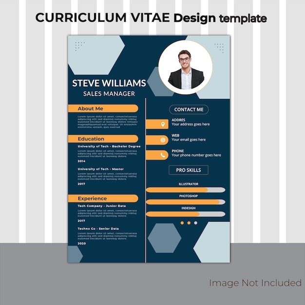 Vettore progettazione del curriculum che sia completamente modificabile