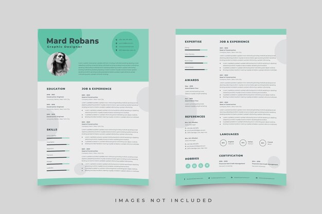 Resume Designs Template