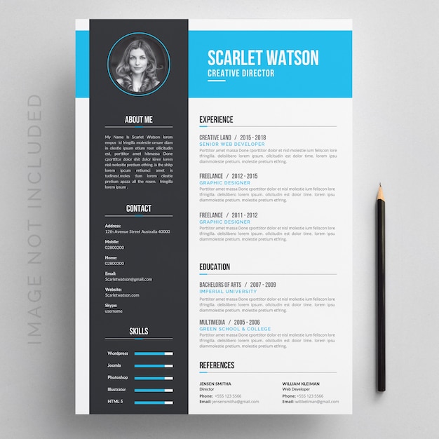 Resume with blue and grey details