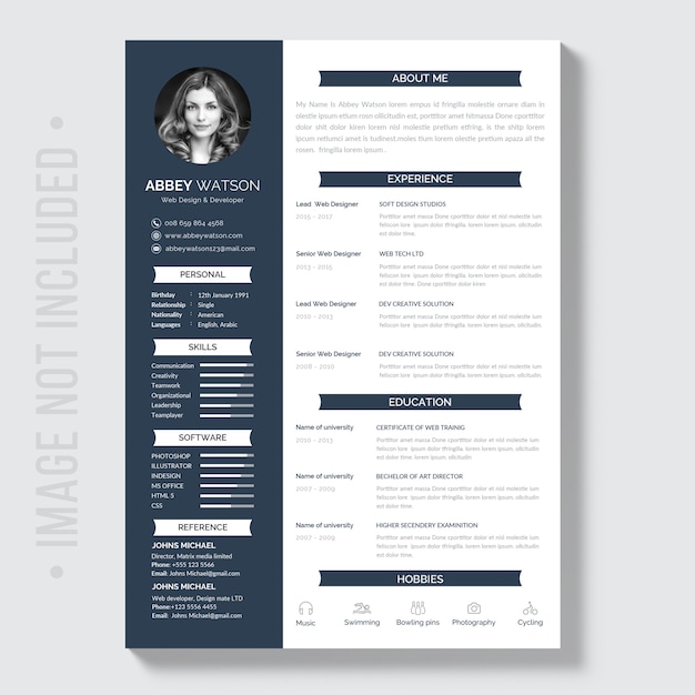 Vector resume