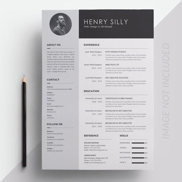 Vector resume