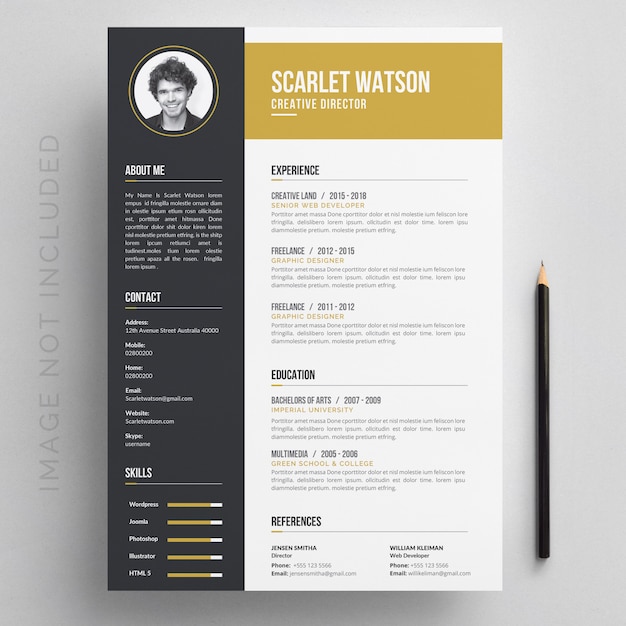 Vector resume