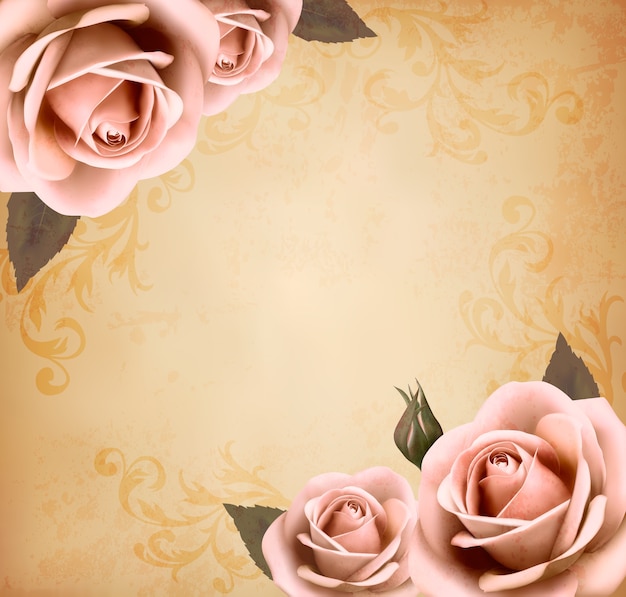 Ретро красивые розовые розы с бутонами