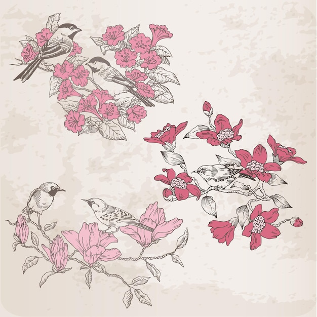 Вектор Ретро иллюстрации - цветы и птицы - для дизайна и альбома для вырезок