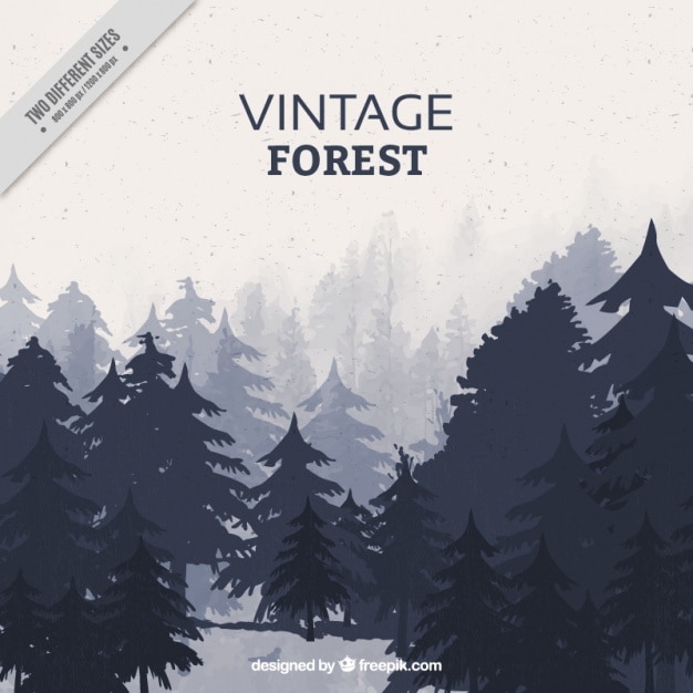 Vector retro landscape with different types of trees