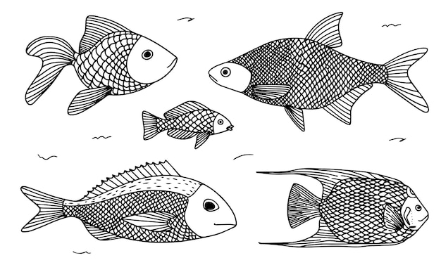 Retro set fish doodle style Hand drawn modern vector illustration