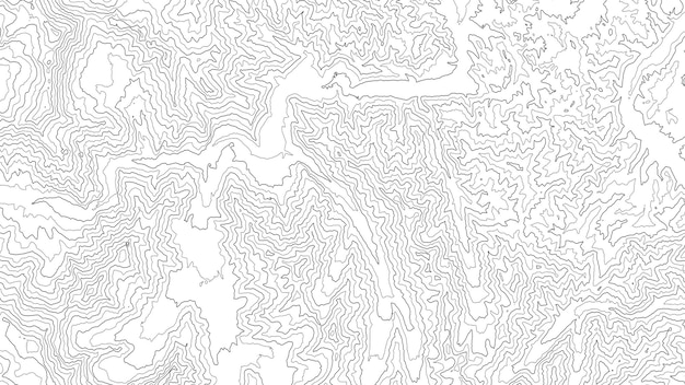 Retro topografische kaart Geografische contourkaart Abstracte omtrek raster vectorillustratie