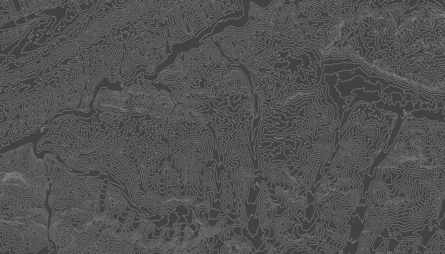 Retro topografische kaart Geografische contourkaart Abstracte omtrek raster vectorillustratie