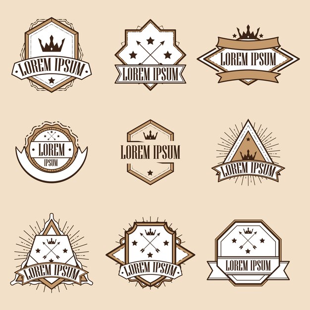 Vector retro vintage insignias or logotypes set