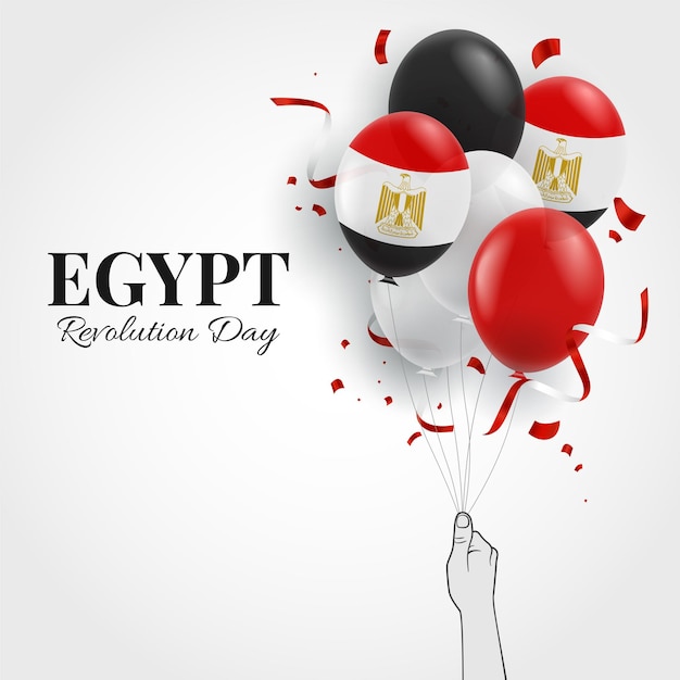 День революции египта