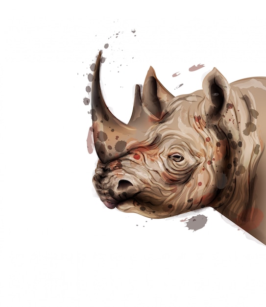 Vector rhino aquarel