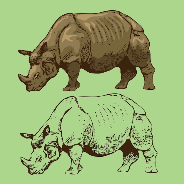 Носорог, изолированные на белом фоне