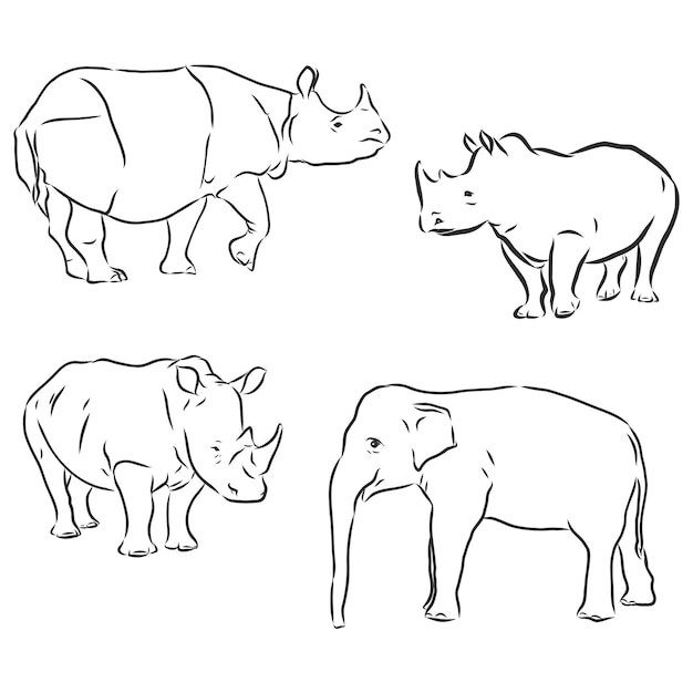 Rhino silhouette line drawings - vector set of three . Rhino vector sketch illustration