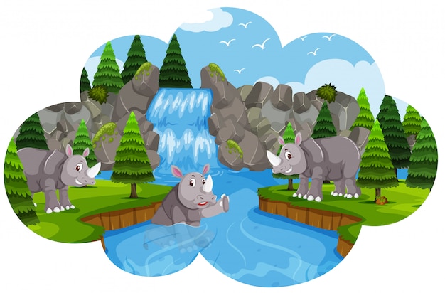 Rhinoceros live next to water