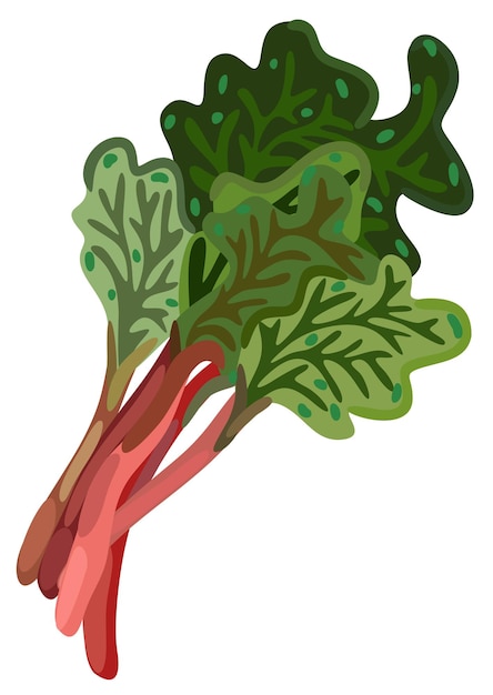 Rhubarb Paarse stengels met groene bladeren Vector geïsoleerde illustratie Tuingroente