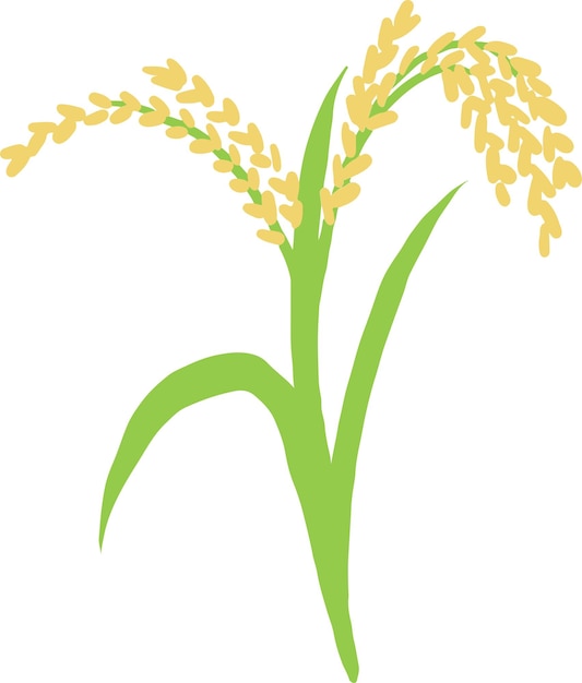 rice ear illustration