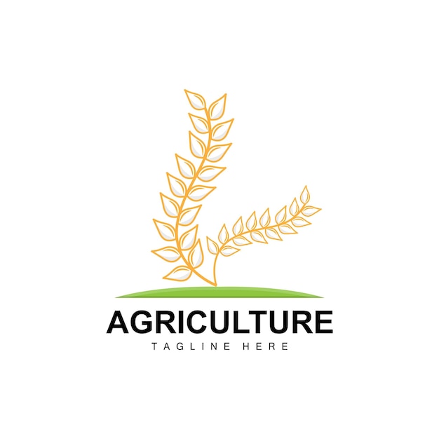 Rice Logo Agriculture Design Vector Wheat Rice Icon Template Illustration