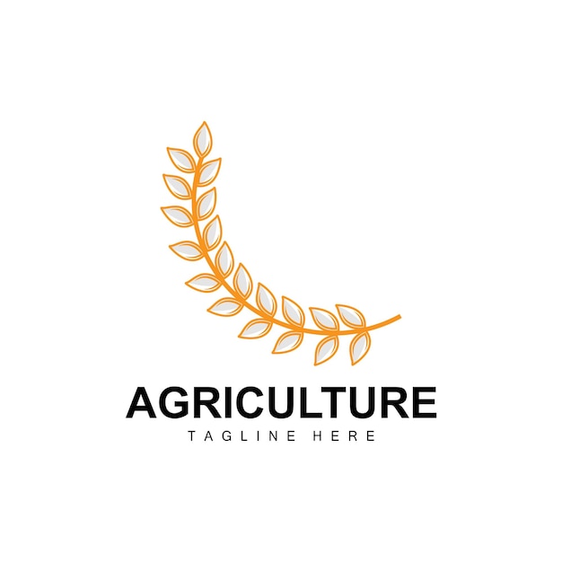 Rice Logo Agriculture Design Vector Wheat Rice Icon Template Illustration