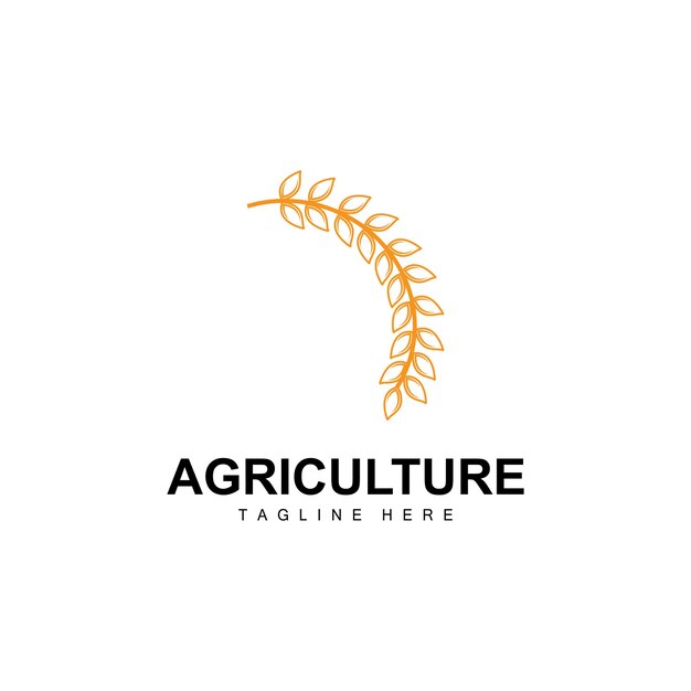 rice logo agriculture design vector wheat rice icon template illustration