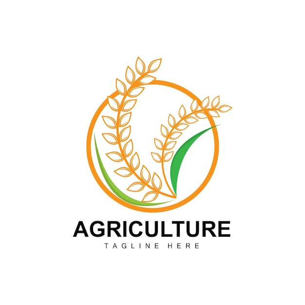 Rice Logo Agriculture Design Vector Wheat Rice Icon Template Illustration