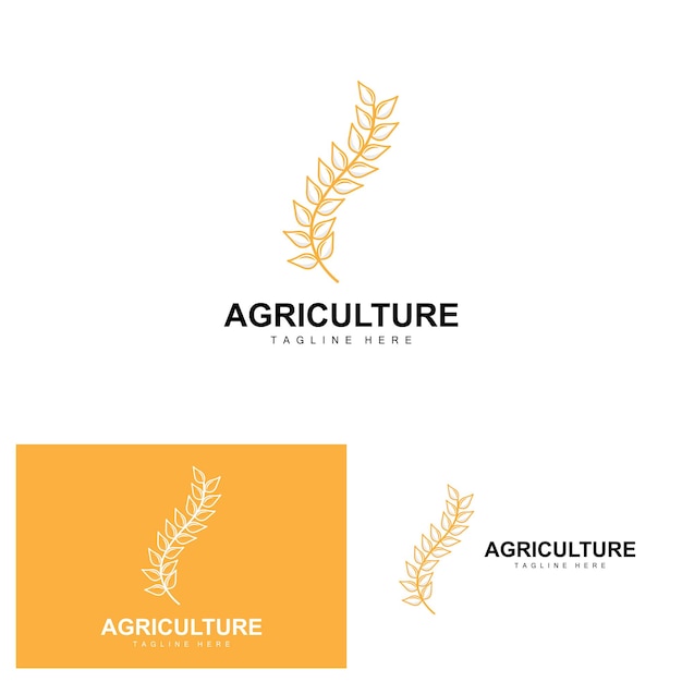 Rice Logo Agriculture Design Vector Wheat Rice Icon Template Illustration