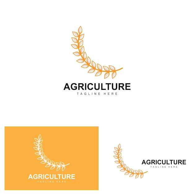 rice logo agriculture design vector wheat rice icon template illustration