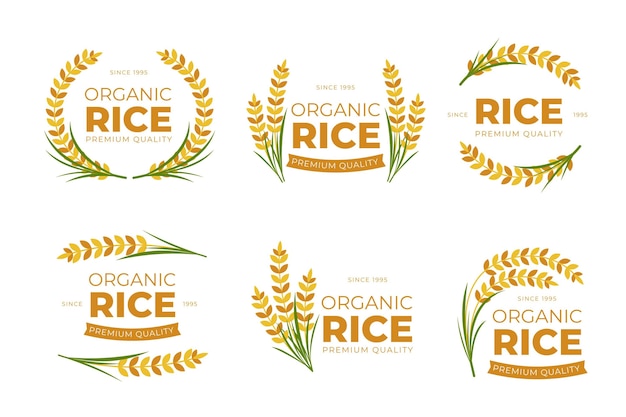 Vettore collezione di logo di riso