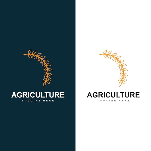 rice logo farm wheat logo design vector symbol icon graphic illustration