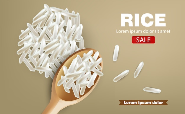 Vector rice realistic illustration